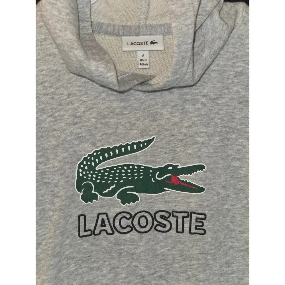 Lacoste Kids Sweatshirt Hoodie Gray Pullover Big Gator‎ Size S (6)